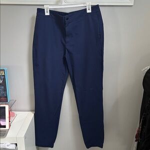 Banana Republic Men's Navy Chinos